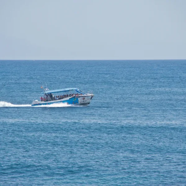 santa-pola-tabarca-precio-galeria-mar-barco.webp